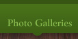Photo Galleries
