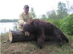 Paul Arnson's Saskatchewan Bruiser
(Paul shot this big brown 30 years to the day of his 1st bear hunt-Nice anniversary!)